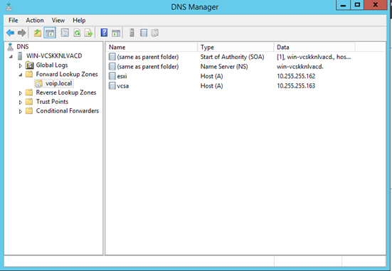 The view of the Forward Lookup Zone in DNS Manager.