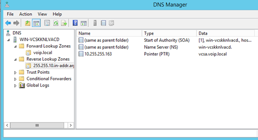 Reverse Record and Forward Record Zones in DNS Manager.